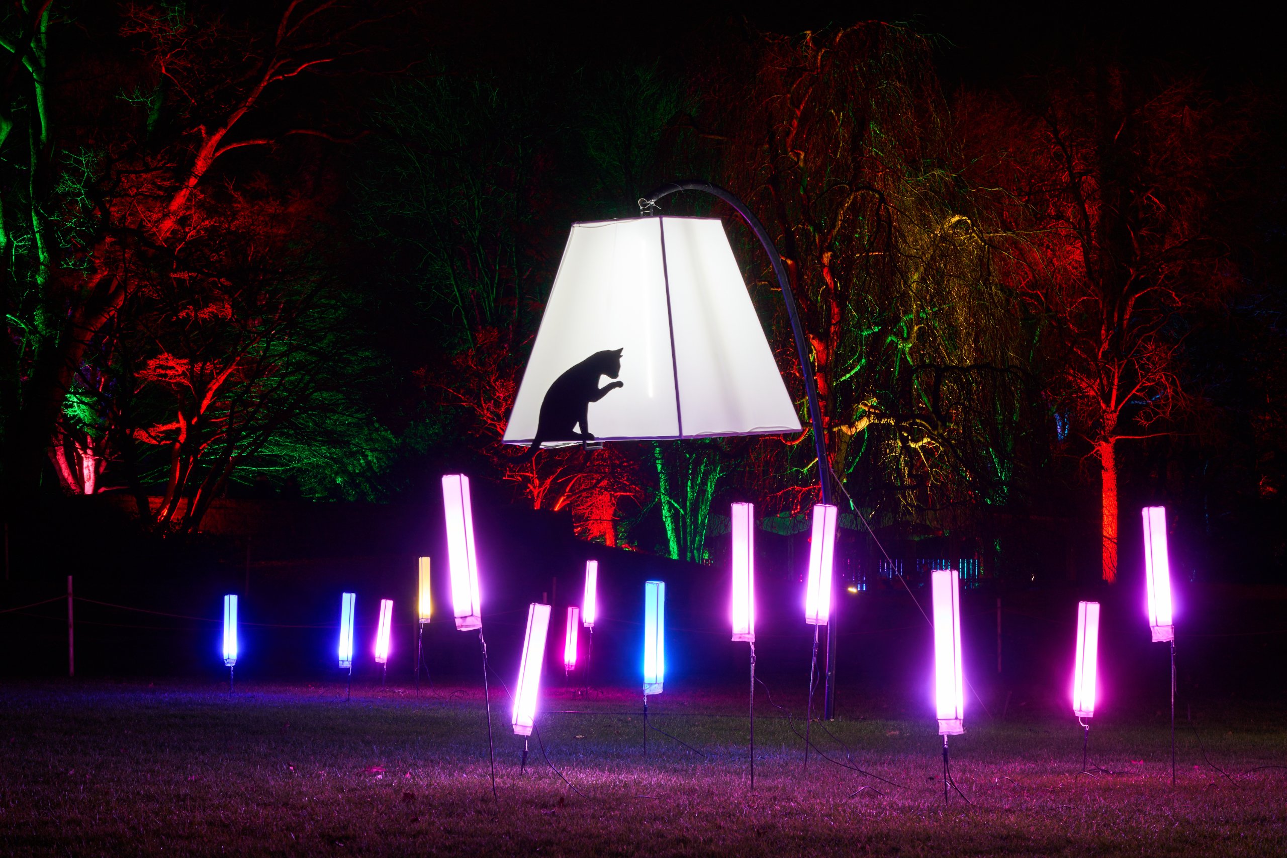 2026 02 05 Parkleuchten 0425